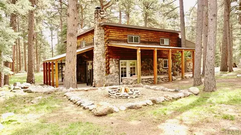 10119 Heller Ln, Rye, CO 81069 photo 10