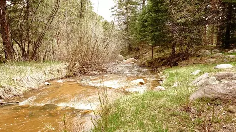 10119 Heller Ln, Rye, CO 81069 photo 8