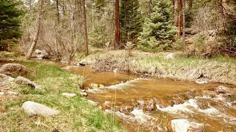 10119 Heller Ln, Rye, CO 81069 photo 7