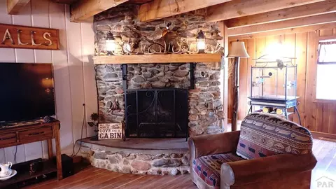 10119 Heller Ln, Rye, CO 81069 photo 30