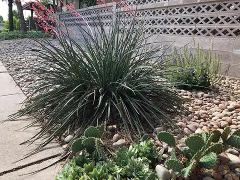 2425 Johnston Dr, La Junta, CO 81050 photo 67