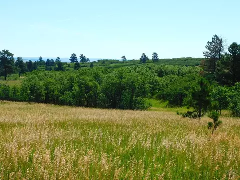 10714 Bartlett Trail Rd, Rye, CO 81069 photo 10