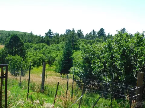 10714 Bartlett Trail Rd, Rye, CO 81069 photo 5