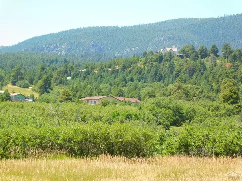 10714 Bartlett Trail Rd, Rye, CO 81069 photo 30