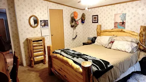 8141 Pine Dr, Rye, CO 81069 photo 10