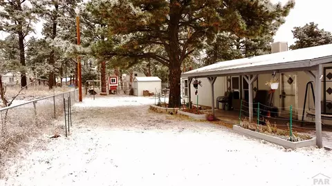 8141 Pine Dr, Rye, CO 81069 photo 18