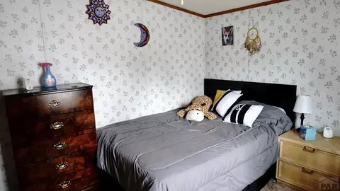 8141 Pine Dr, Rye, CO 81069 photo 17