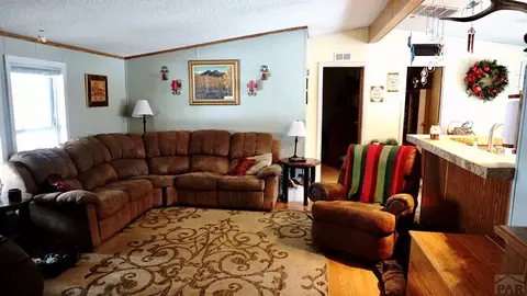 8141 Pine Dr, Rye, CO 81069 photo 4