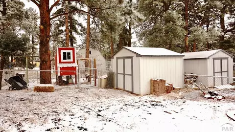 8141 Pine Dr, Rye, CO 81069 photo 19