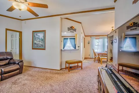 8058 Elna, Rye, CO 81069 photo 2