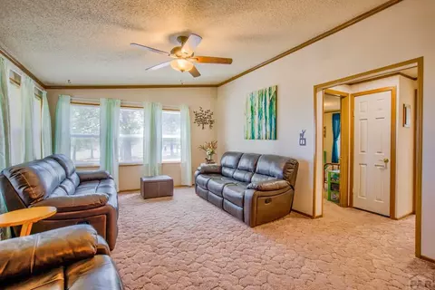 8058 Elna, Rye, CO 81069 photo 11