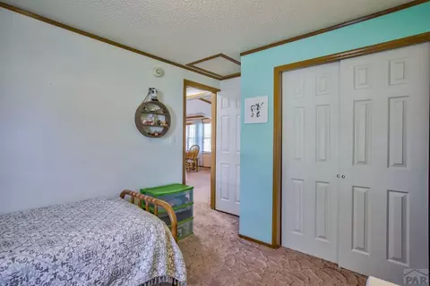 8058 Elna, Rye, CO 81069 photo 26