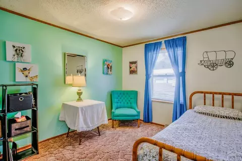 8058 Elna, Rye, CO 81069 photo 25