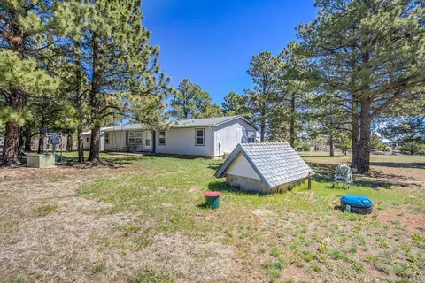 8058 Elna, Rye, CO 81069 photo 30
