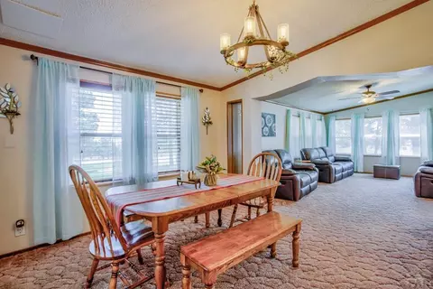 8058 Elna, Rye, CO 81069 photo 6
