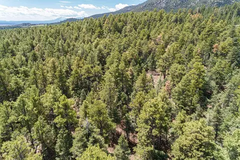 11010 Bartlett Trl, Rye, CO 81069 photo 14