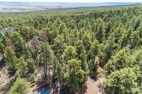 11010 Bartlett Trl, Rye, CO 81069 photo 10