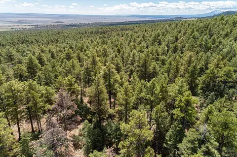 11010 Bartlett Trl, Rye, CO 81069 photo 13