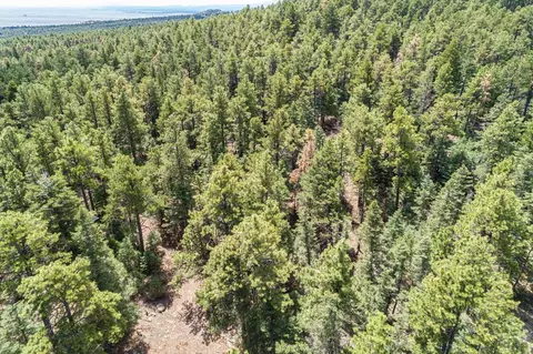 11010 Bartlett Trl, Rye, CO 81069 photo 11