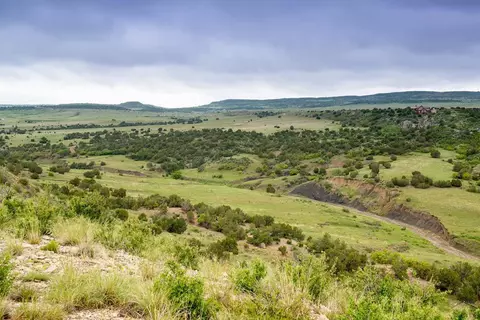 6170 Cedarwood Rd, Rye, CO 81069 photo 24