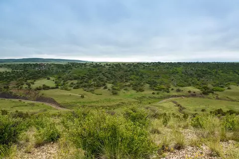 6170 Cedarwood Rd, Rye, CO 81069 photo 25