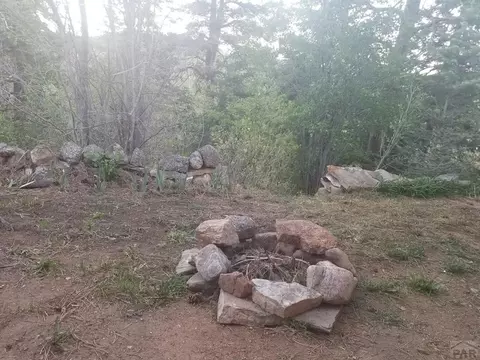 8139 Patti Dr, Rye, CO 81069 photo 8