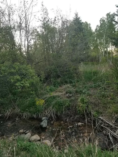 8139 Patti Dr, Rye, CO 81069 photo 12