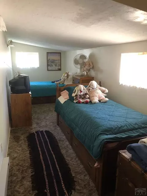 6001 Boulder Ave, Rye, CO 81069 photo 17