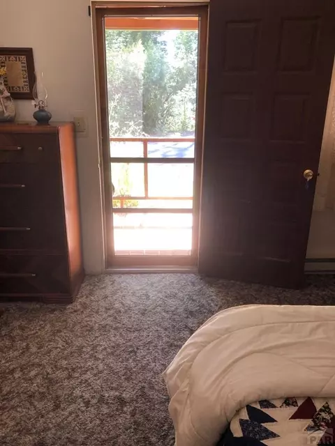 6001 Boulder Ave, Rye, CO 81069 photo 23