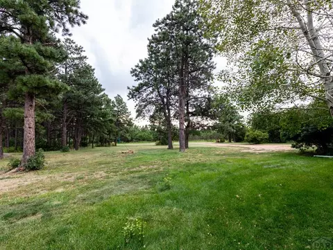 953 Hereford Dr, Rye, CO 81069 photo 50