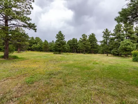 953 Hereford Dr, Rye, CO 81069 photo 53