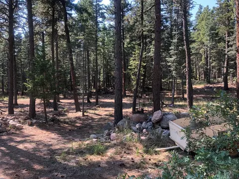10574 Smith Ln, Rye, CO 81069 photo 14