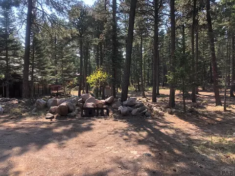 10574 Smith Ln, Rye, CO 81069 photo 13
