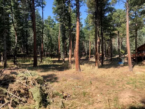 10574 Smith Ln, Rye, CO 81069 photo 19