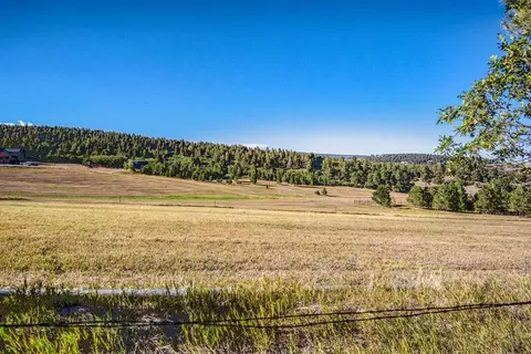 10447 Linger Longer Ln, Rye, CO 81069 photo 45