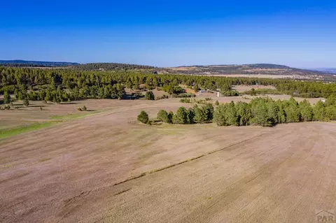 10447 Linger Longer Ln, Rye, CO 81069 photo 47