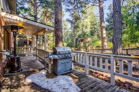 10447 Linger Longer Ln, Rye, CO 81069 photo 29