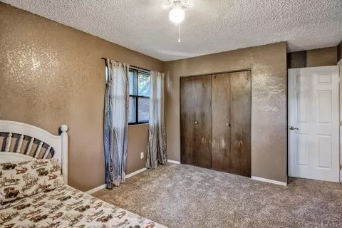 10447 Linger Longer Ln, Rye, CO 81069 photo 22