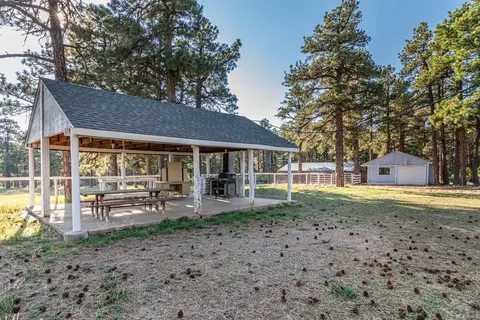 10230 Singer Ln, Rye, CO 81069 photo 29
