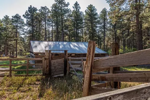 10230 Singer Ln, Rye, CO 81069 photo 34