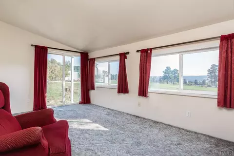 10230 Singer Ln, Rye, CO 81069 photo 20