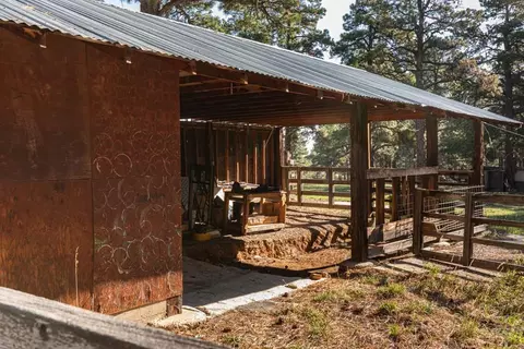10230 Singer Ln, Rye, CO 81069 photo 33