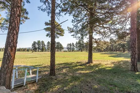 10230 Singer Ln, Rye, CO 81069 photo 30