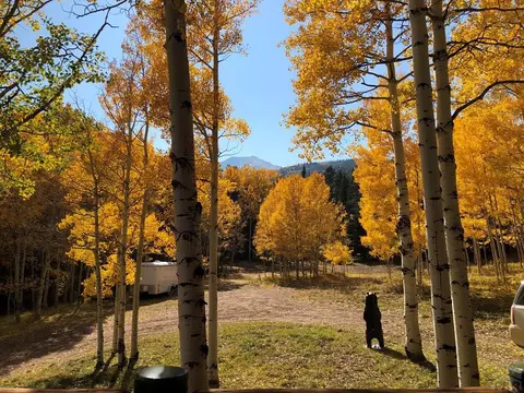 72 Gibson Road, Westcliffe, CO 81252 photo 32
