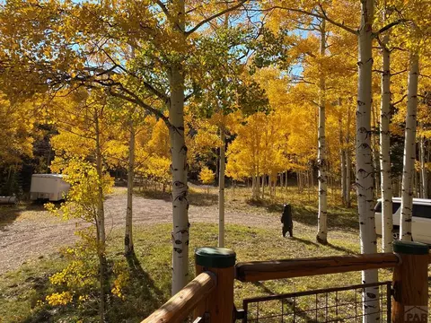 72 Gibson Road, Westcliffe, CO 81252 photo 33