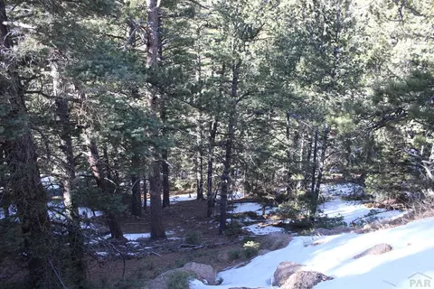 19 Robert Rd, Rye, CO 81069 photo 54