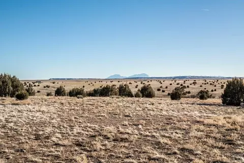 8039 Wolfenberger Rd, Rye, CO 81069 photo 50
