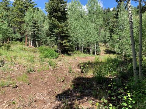 1683 Chalice Dr, Westcliffe, CO 81252 photo 1
