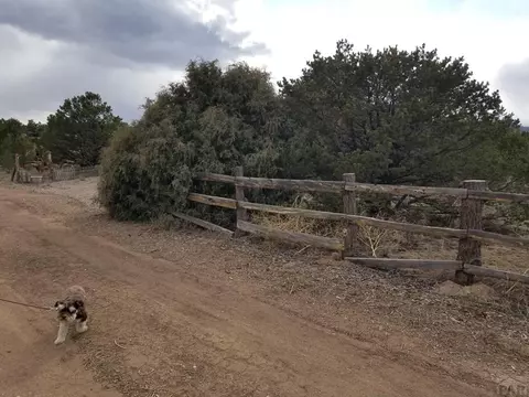 1739 14th Trl, Cotopaxi, CO 81223 photo 3