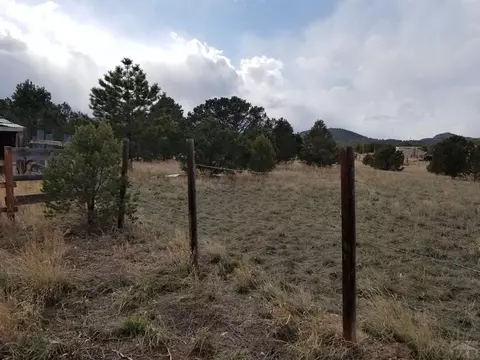 1739 14th Trl, Cotopaxi, CO 81223 photo 9